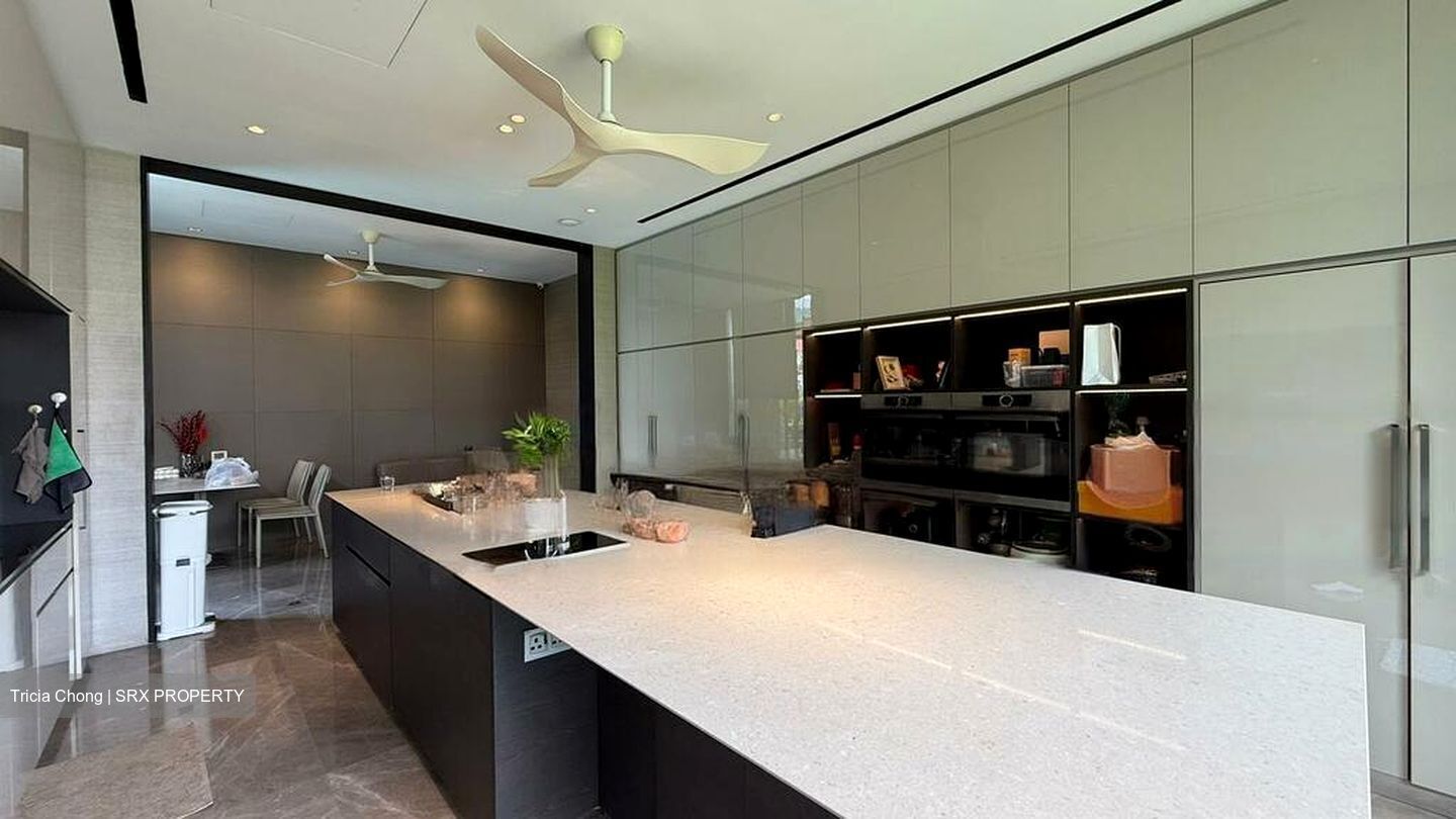 Toh Estate (D17), Detached #476118641